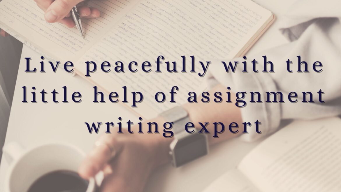 Live peacefully with the little help of assignment writing expert