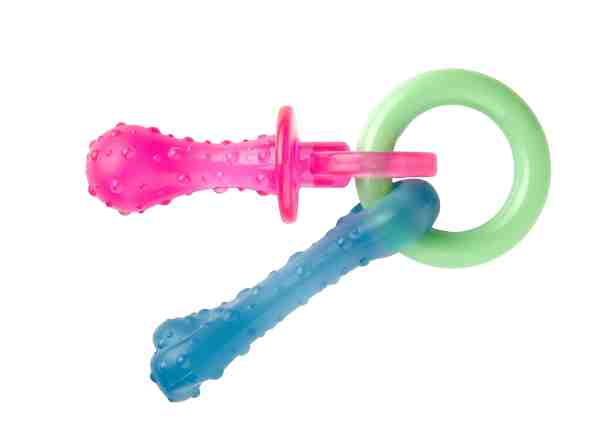 Nylabone Teething Pacifier